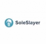 Soleslayer