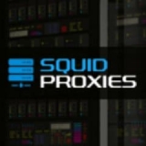 Squid Proxies
