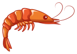 Shrimp AIO